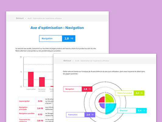 Aperçu du document d'audit de l'expérience utilisateur du site de Delcourt